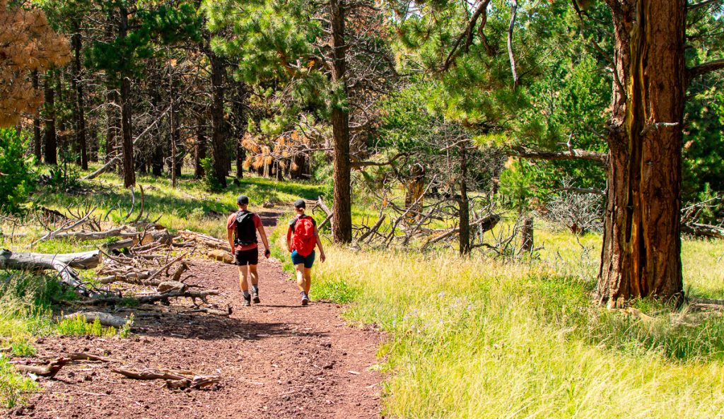 two people hiking