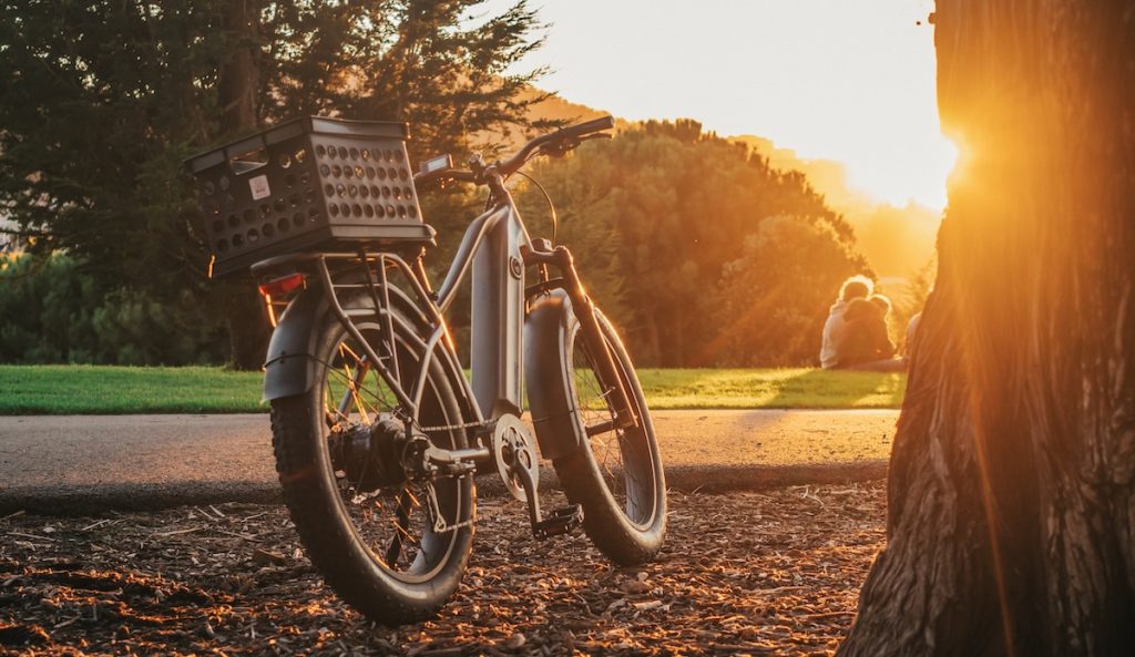 Fat tire ebike in the park