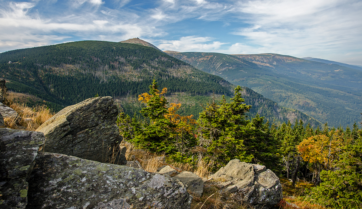 Two Hikers Found a Trove of Gold Coins Worth $340,000; They Turned It All In
