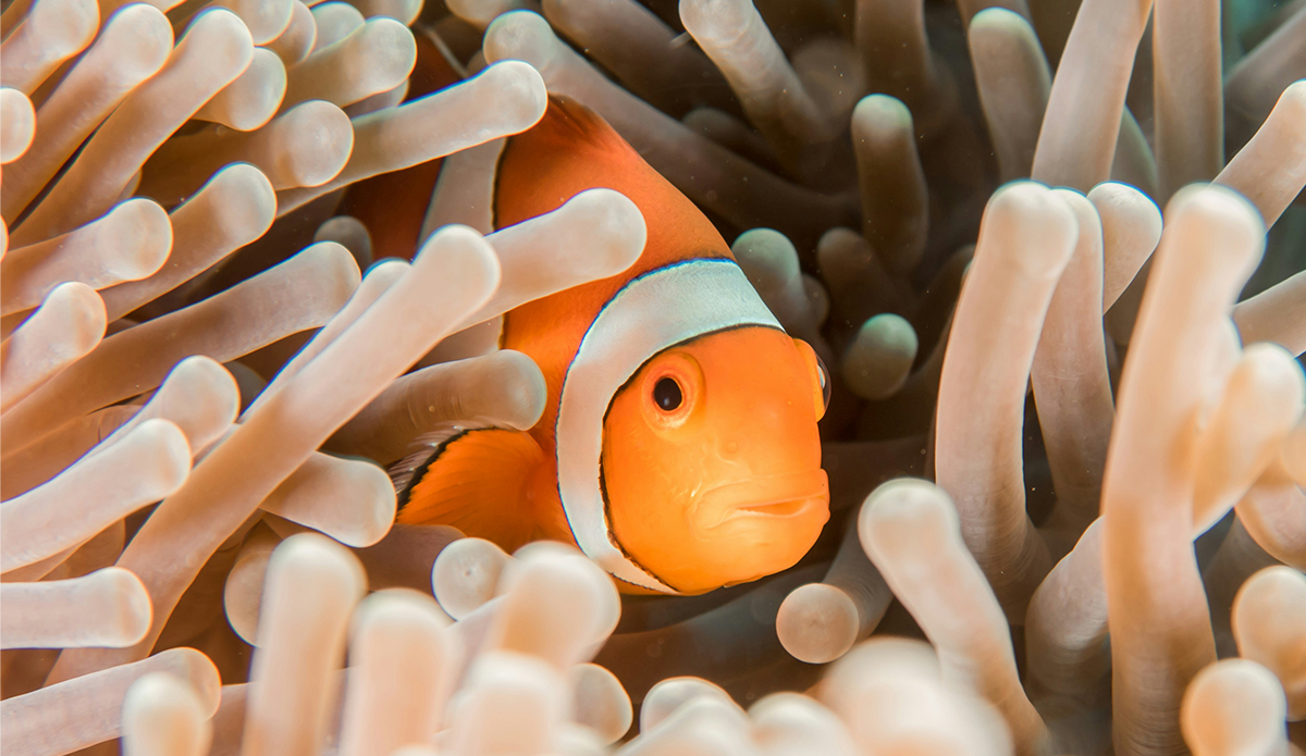 Photo: Sebastian Pena Lambarri // Unsplash