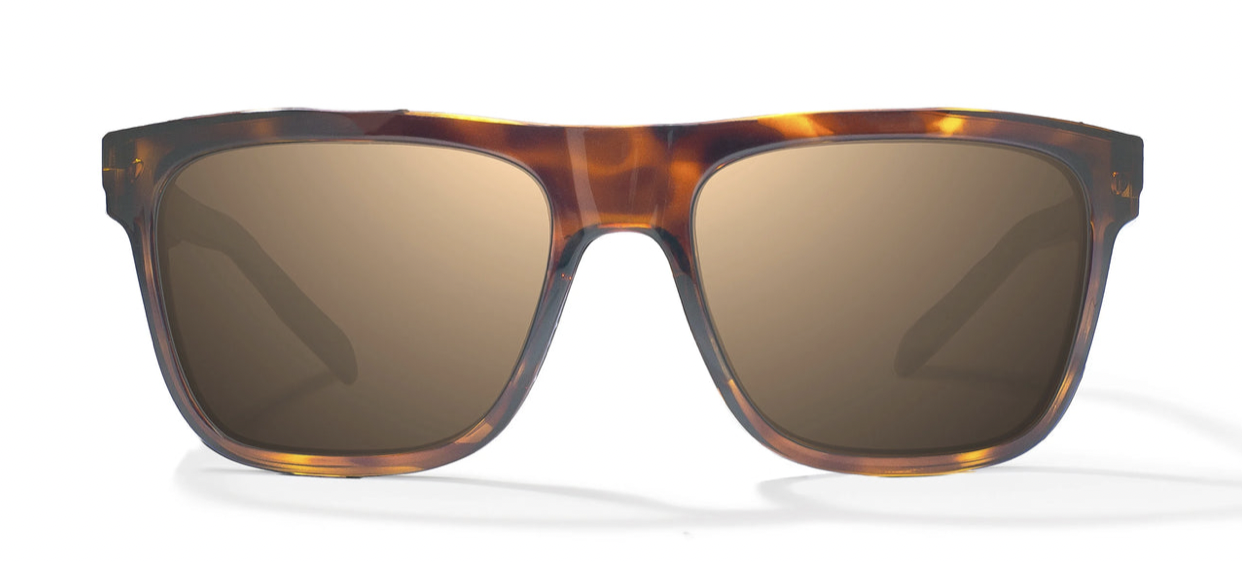 bajio sunglasses