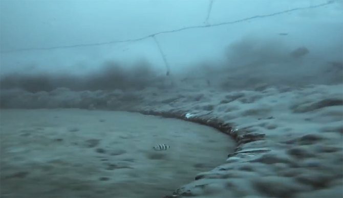 fishing trawlers