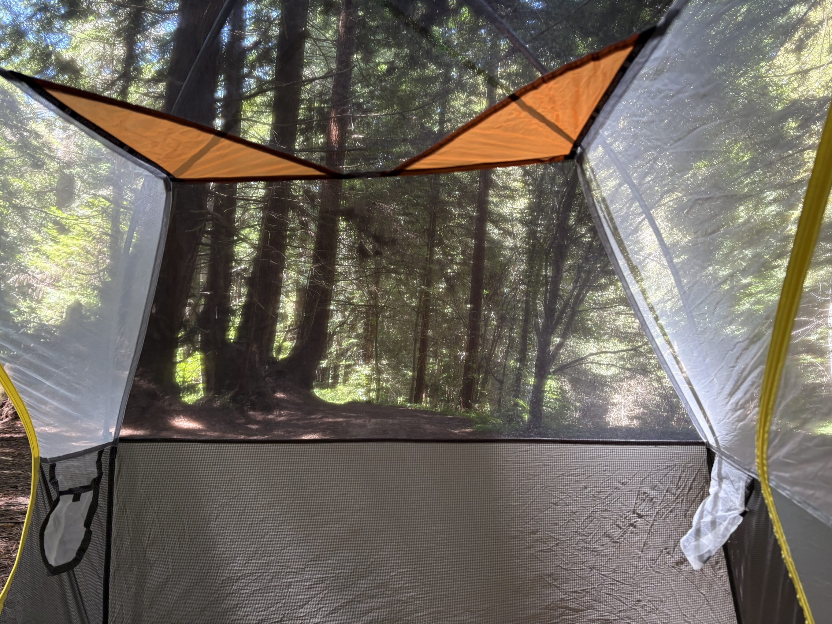 mesh on a tent
