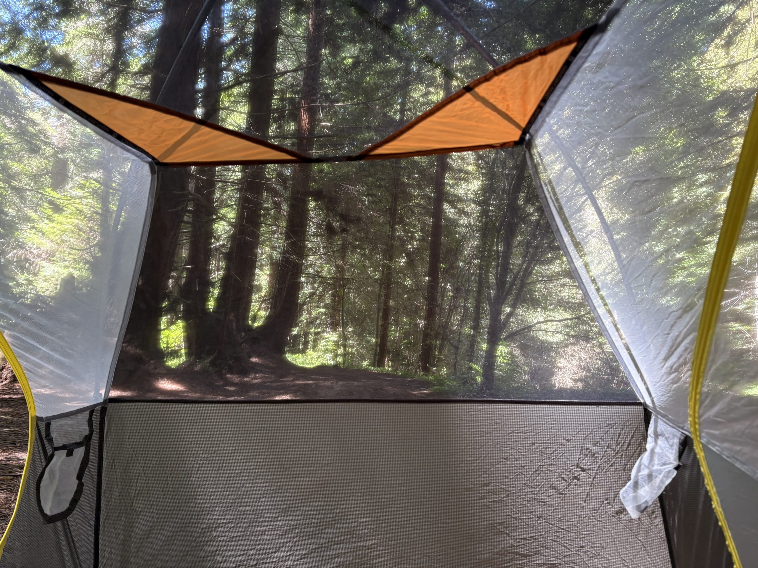 mesh on a tent