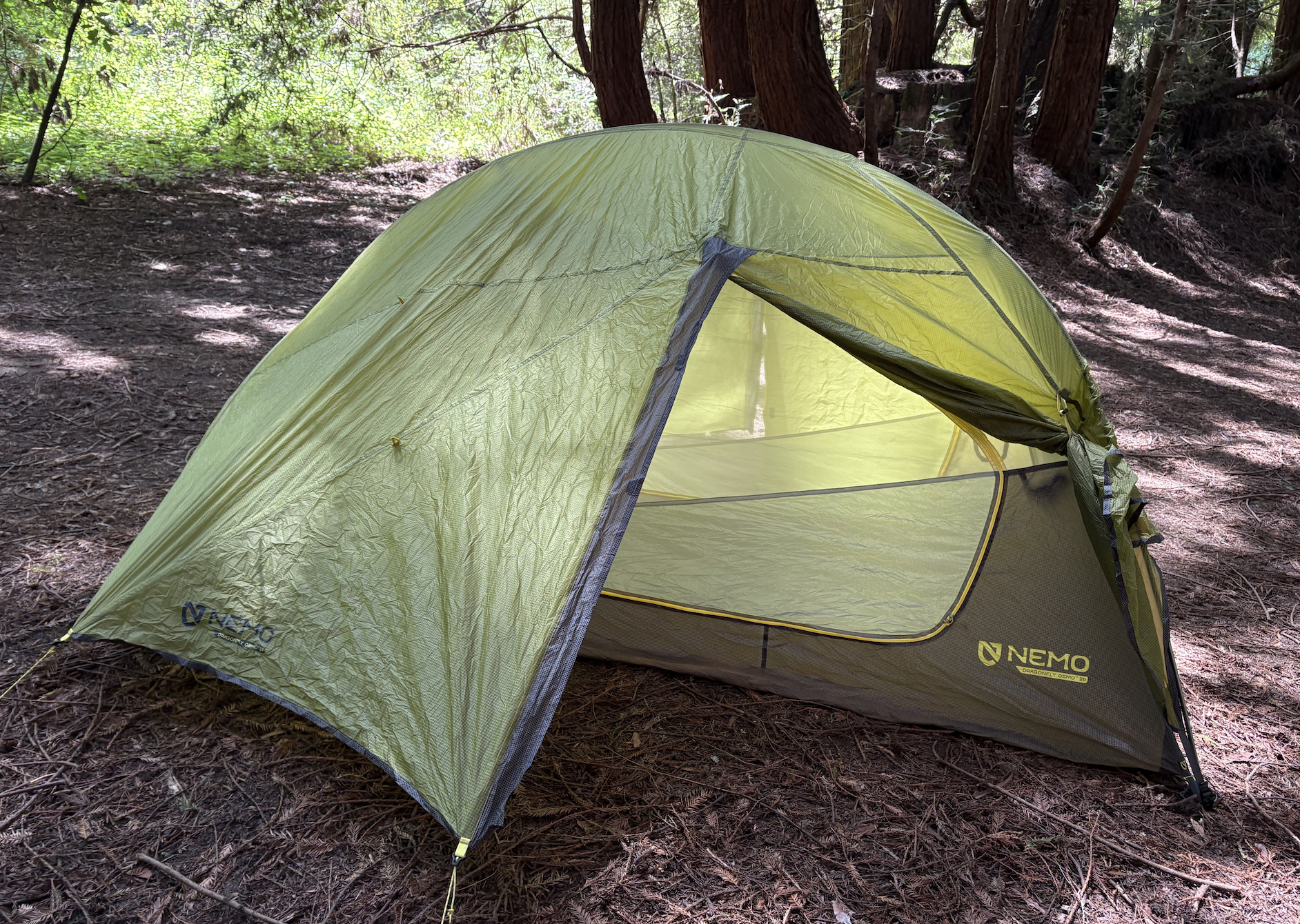 nemo dragonfly tent