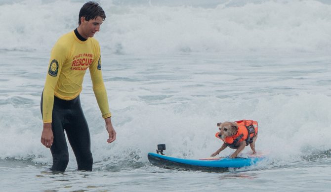 Photo: Purina