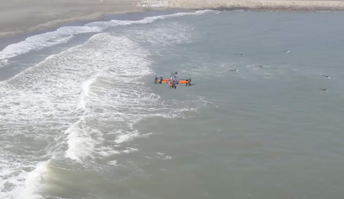 A drone patrolled the beach in a successful test run. Photo: Blue Innovation Co. // YouTube