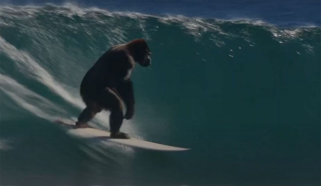 Gorilla on a surfboard