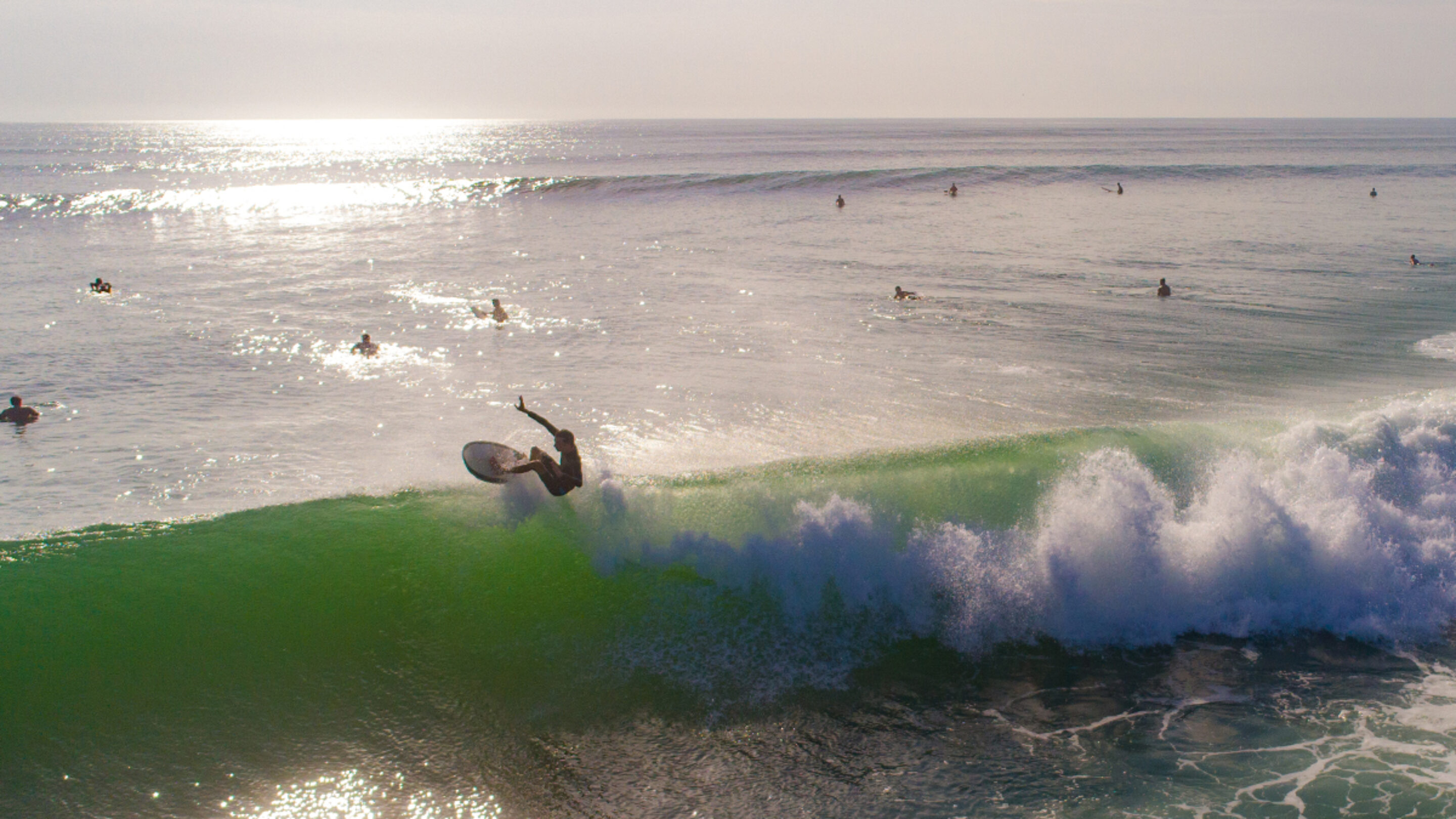 Photo: Sam Scribner