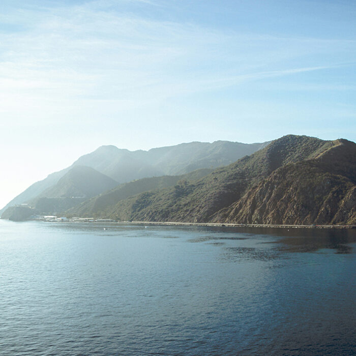 Photo: Dan Cutler // Unsplash