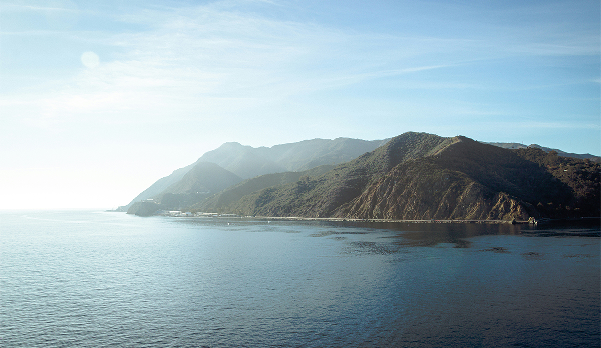 Photo: Dan Cutler // Unsplash