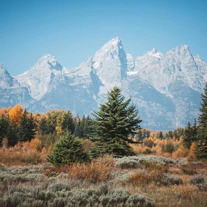 Grand Teton Runner Faces Federal Conviction After Cutting Switchback During Record Attempt