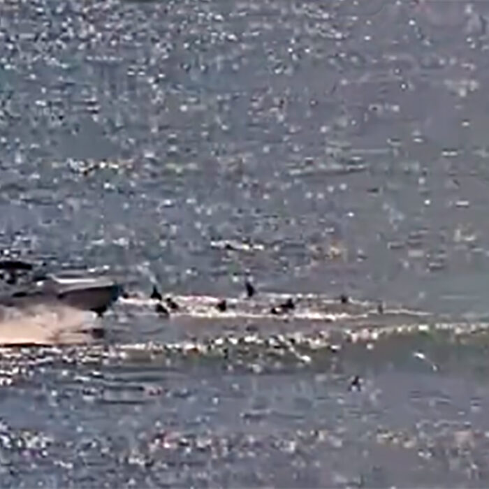 Boater Given 'Reckless Operation' Citation After Driving Through Lowers Lineup