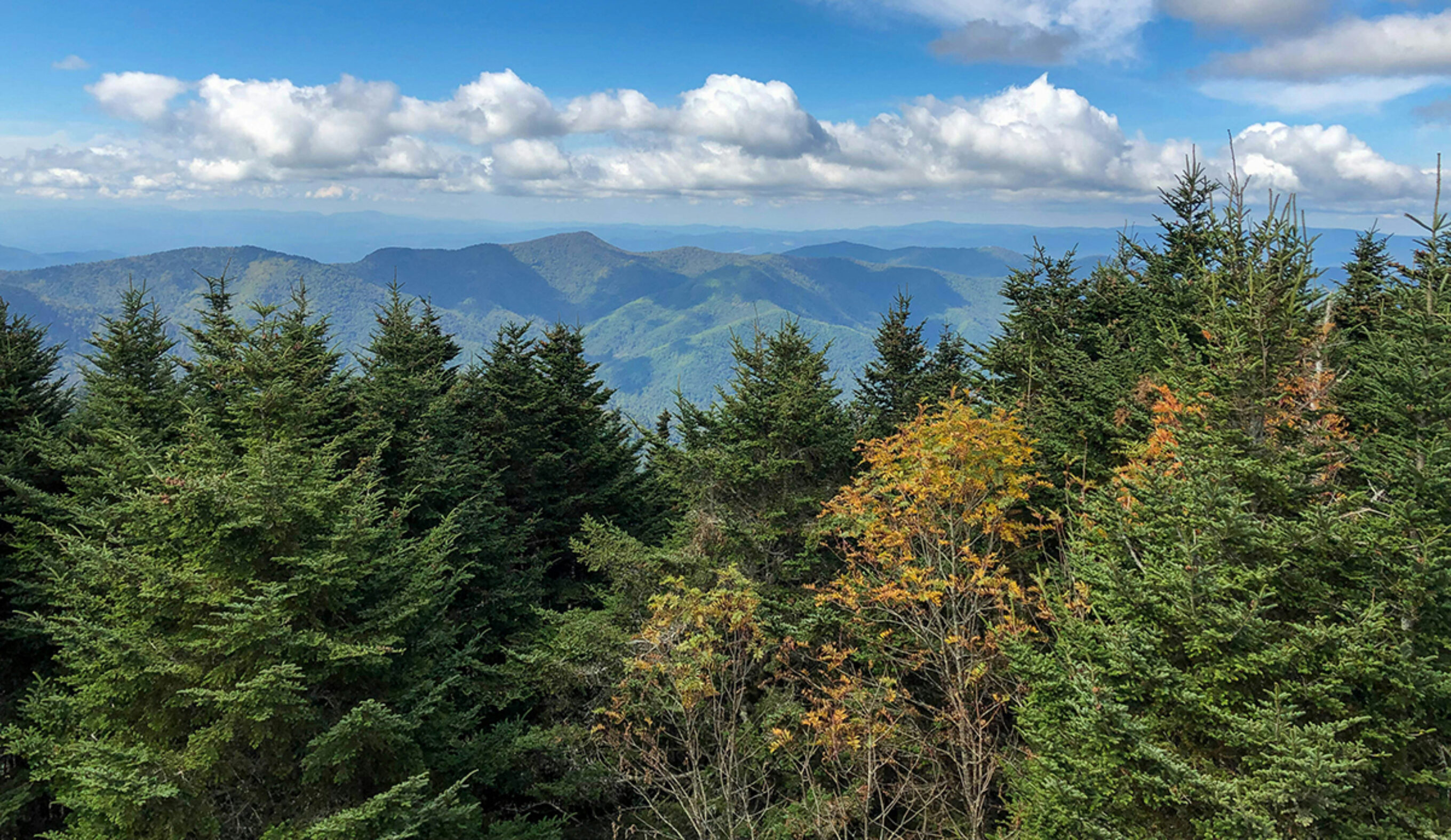 The Highest Point East of the Mississippi Reopens for Hiking After Hurricane Damage