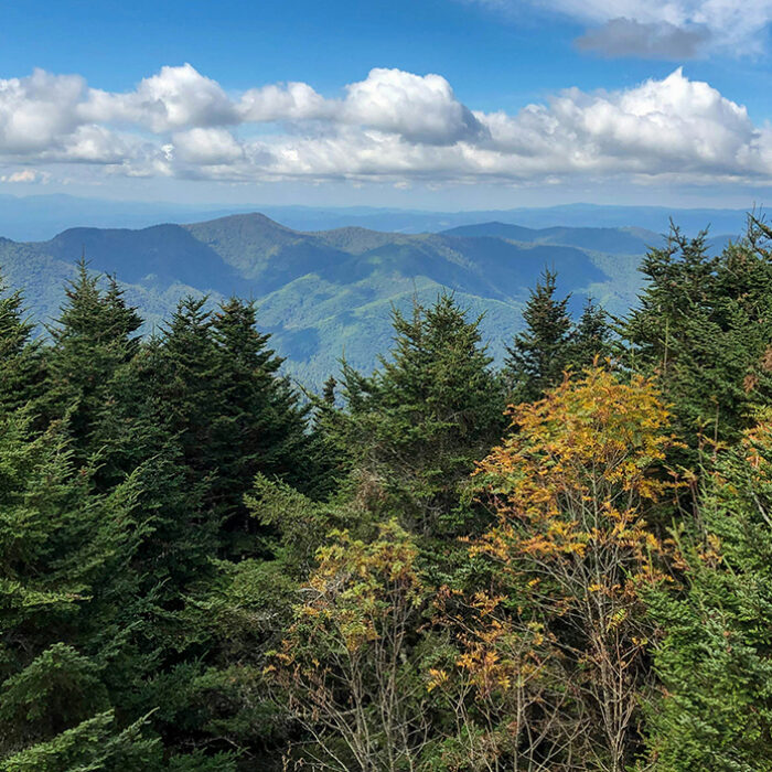 The Highest Point East of the Mississippi Reopens for Hiking After Hurricane Damage