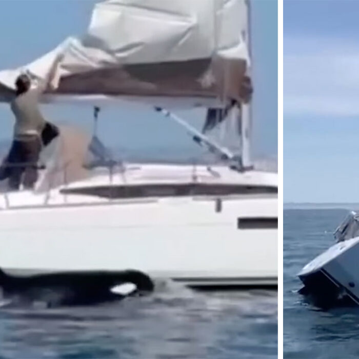 orcas attacking sailboat off Portugal