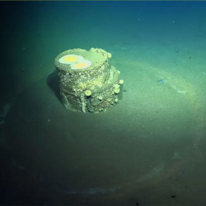 Toxic waste barrel off Los Angeles with ring around it
