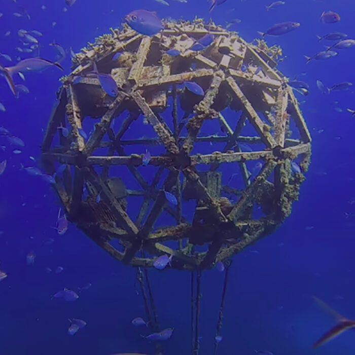Are Floating Spheres the Answer to Saving Coral Reefs?