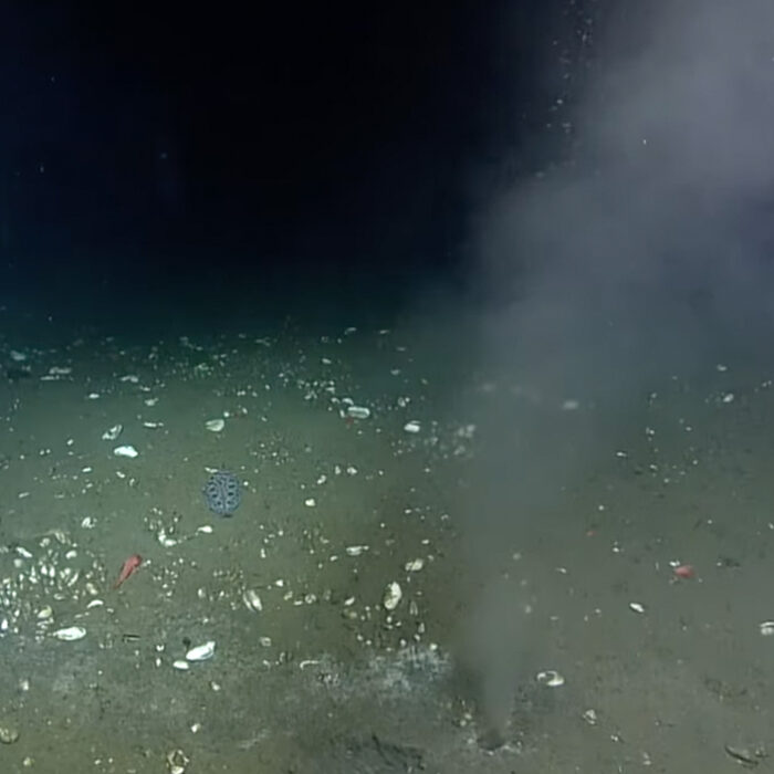 researchers studying a spring in the Cascadia Subduction Zone