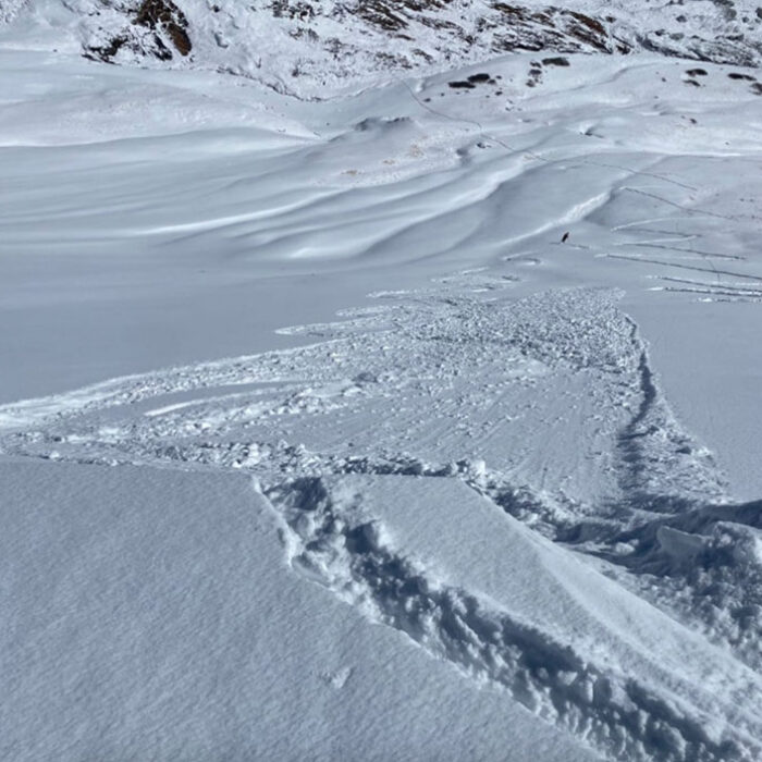 Colorado Avalanche at Treasury Mountain