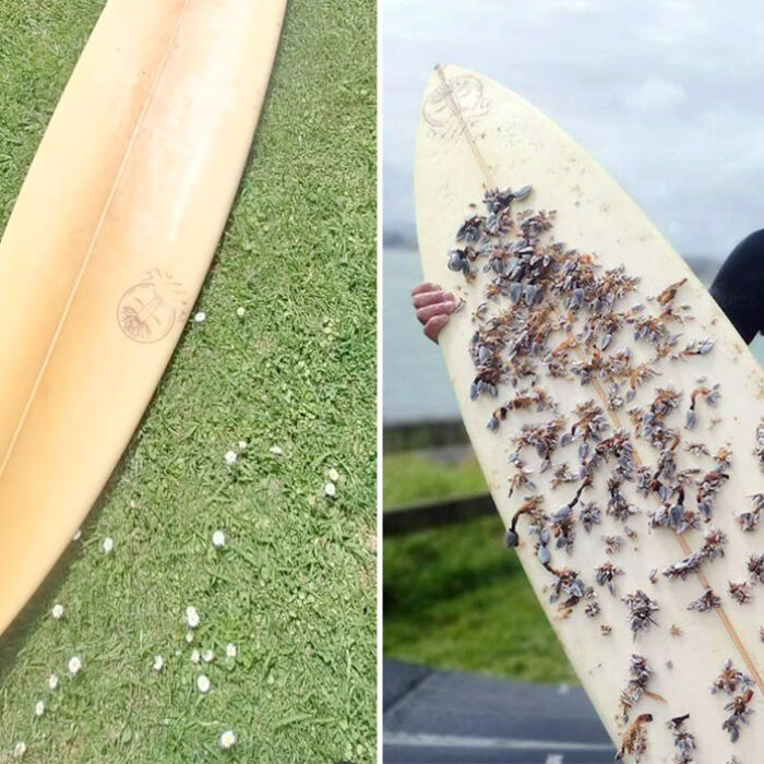 Lost surfboard found in New Zealand