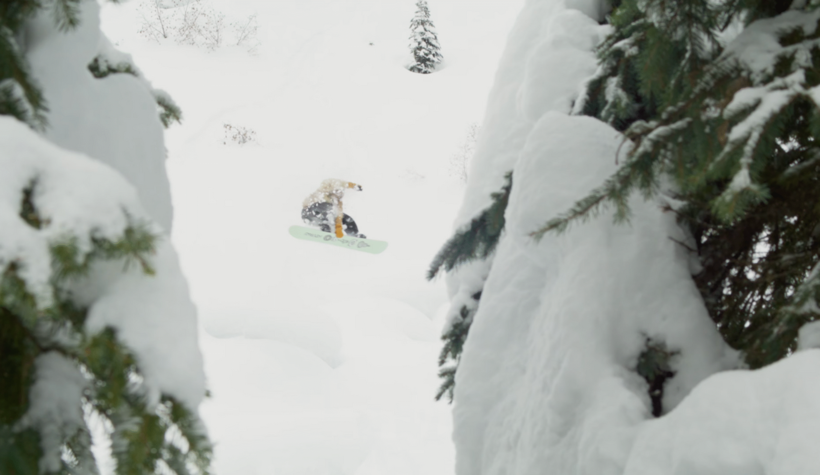 Jackson Hole mountain resort