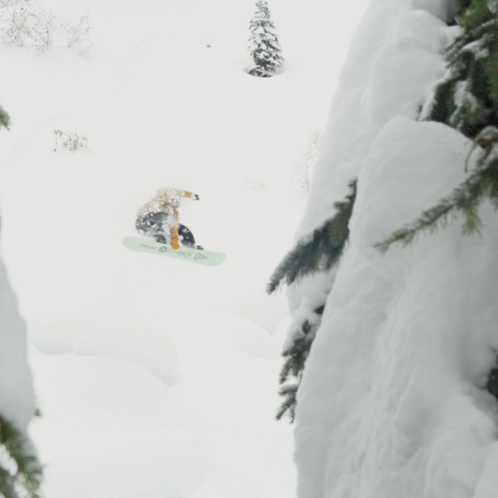 Jackson Hole mountain resort