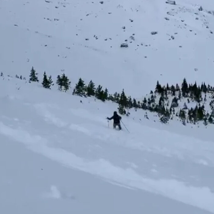 A skier attempts to ski out of the avalanche in Harvey Pass. Photo: Avalanche Canada