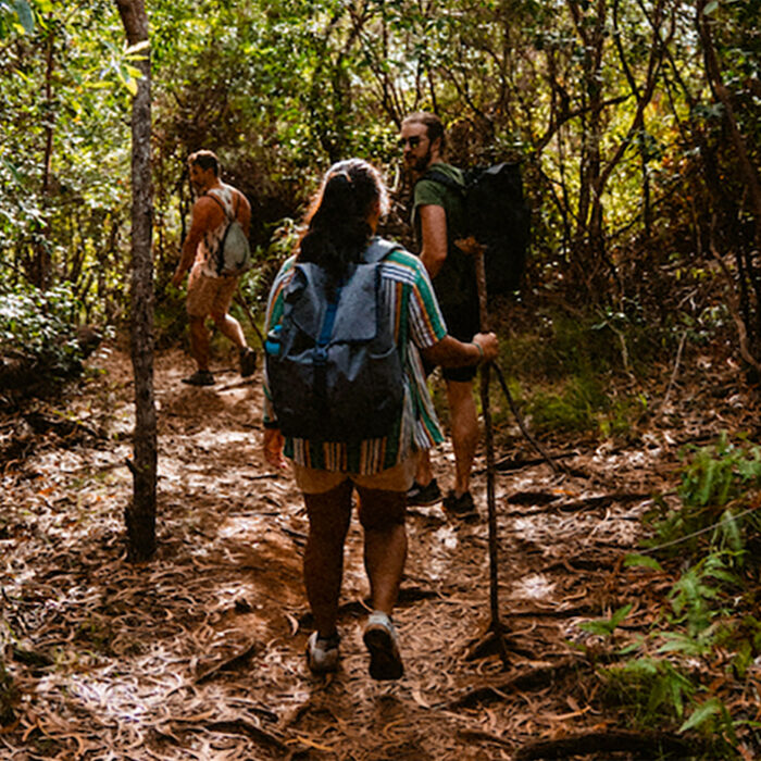 After a Spider Bite, a Hiker in Hawaii Was Rescued by Helicopter