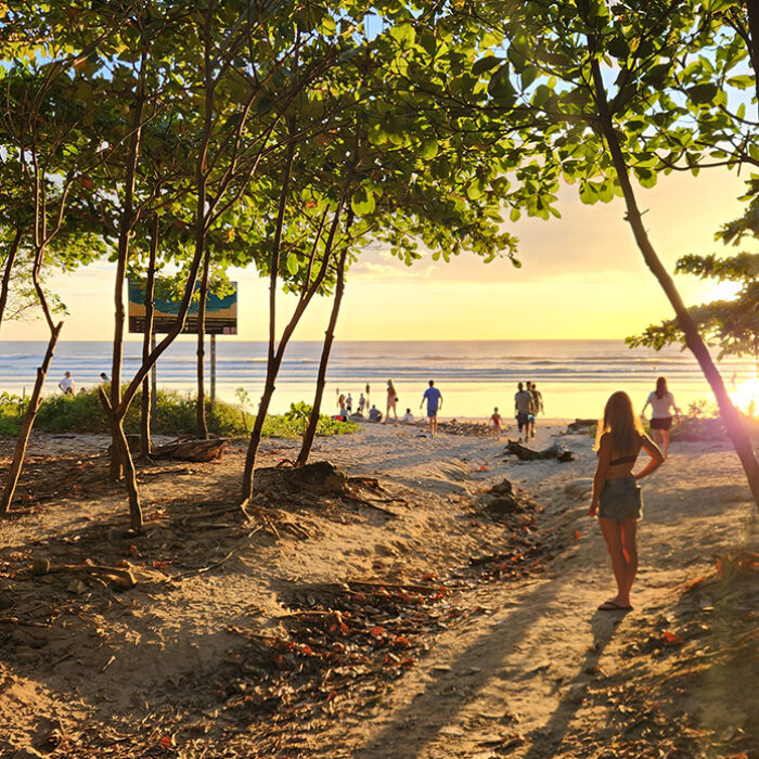 Nosara: Offshore Winds, Perfect Waves and a Fine Bowl of Ceviche