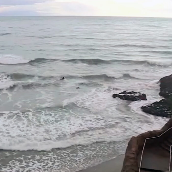 Two Surfers Were Rescued in Stormy Conditions in Santa Cruz; One Received CPR