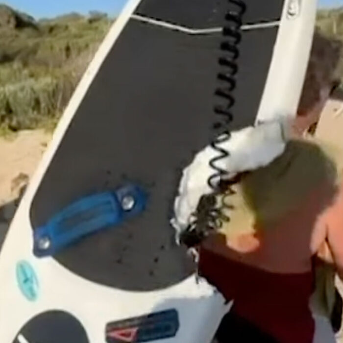 Wing foiler shows surfboard after great white shark attack
