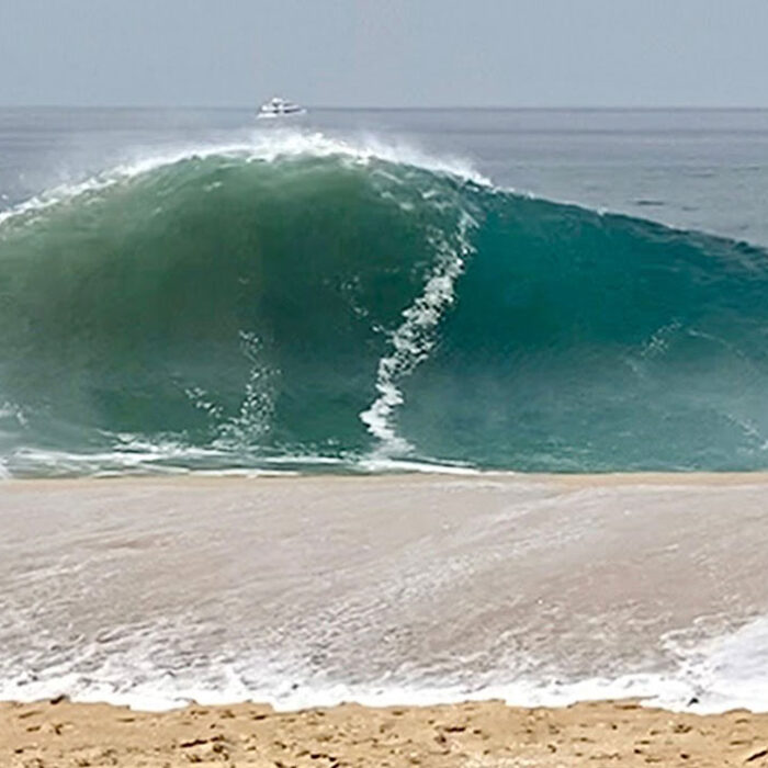 The Wedge mist swell in November