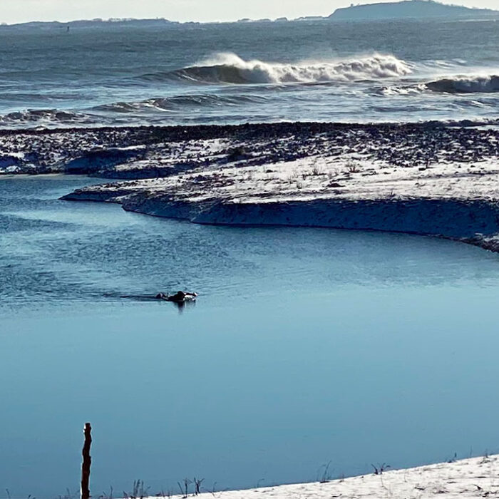 A Surf Picture Worth a Thousand Words, Or So