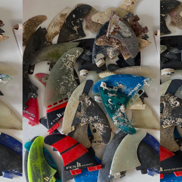 An Australian Artist Collecting Lost Fins Says Nearly Three-Quarters One Specific Brand