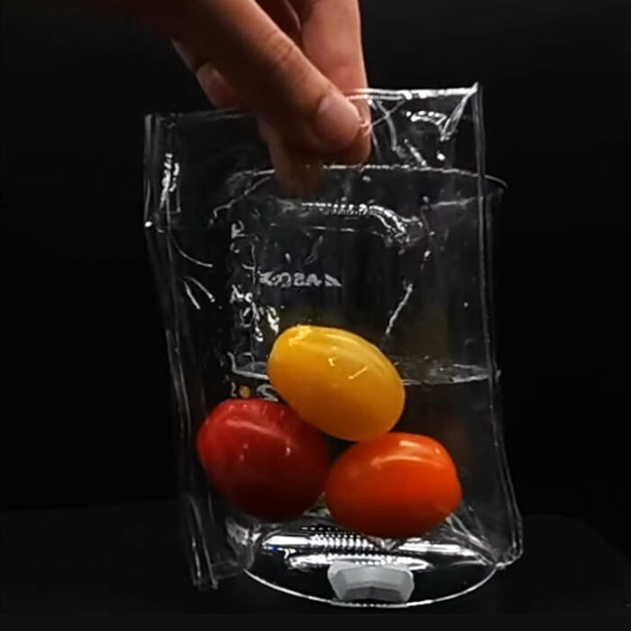 Biodegradable plastic bag with tomatoes in it
