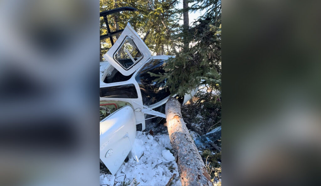 Photo: Baylee Demars // GoFundMe