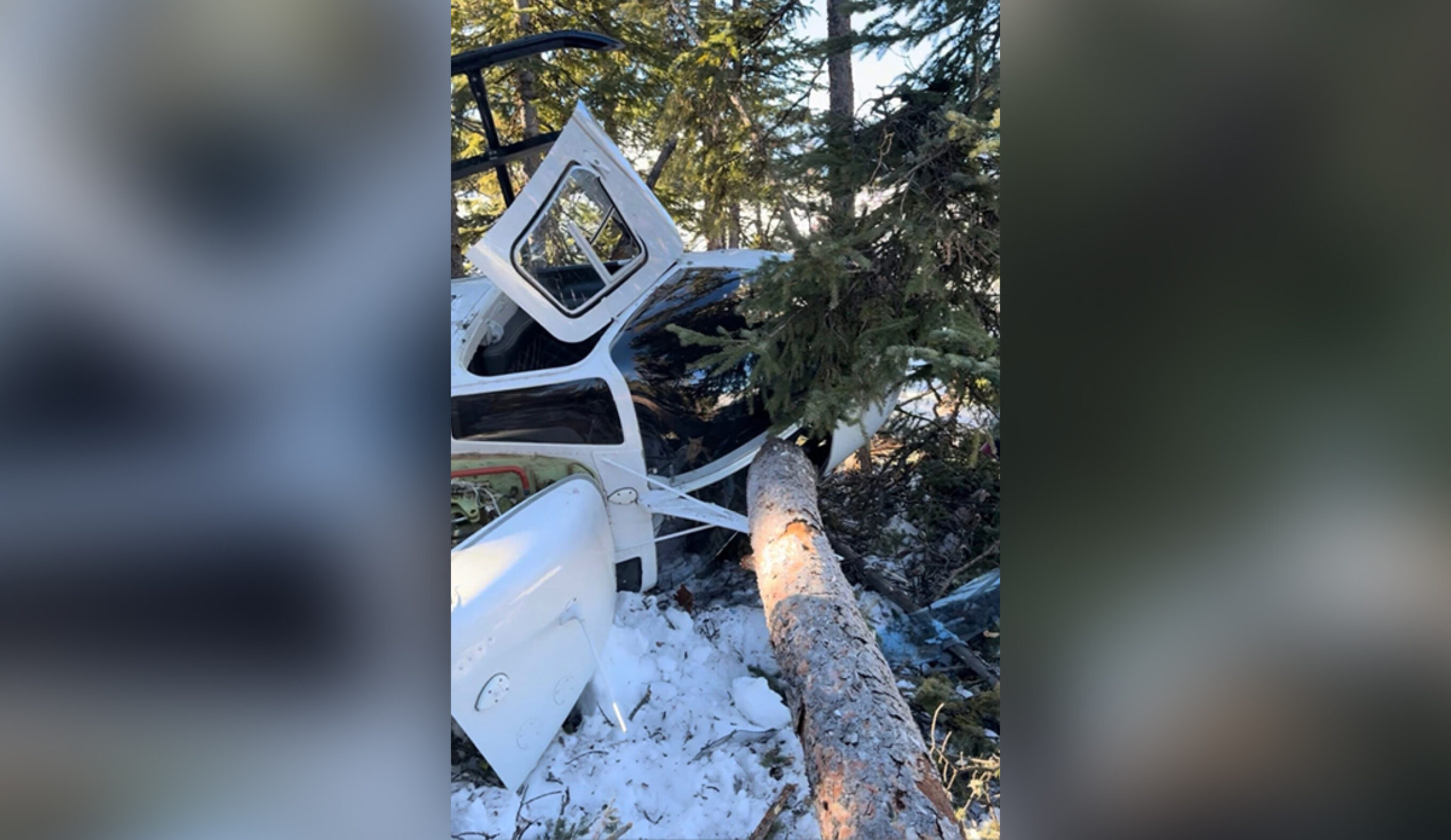 Photo: Baylee Demars // GoFundMe