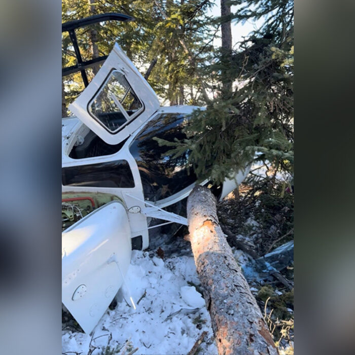 Photo: Baylee Demars // GoFundMe