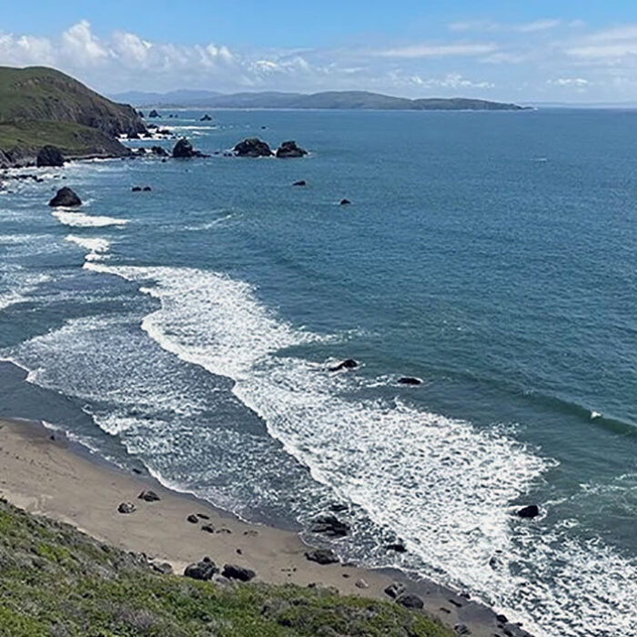In Conservation Win, New 547-Acre Plot of California Coast Was Opened to the Public