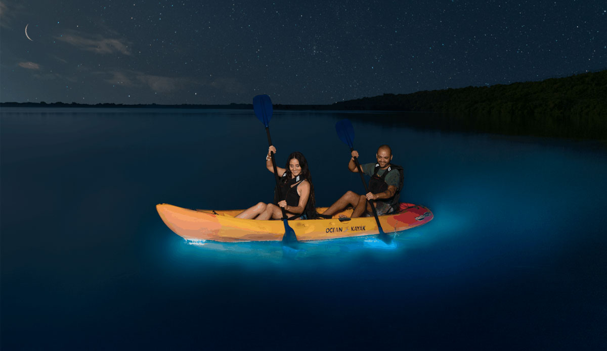 Bioluminescent bay