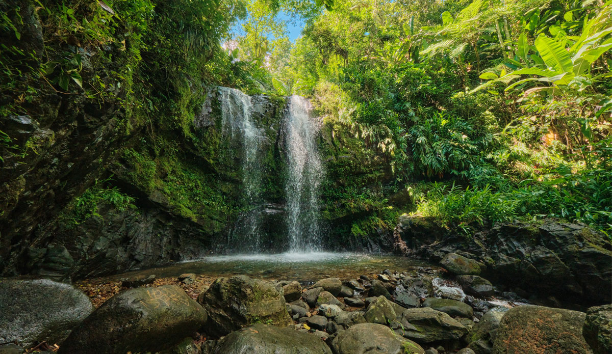 Ciales