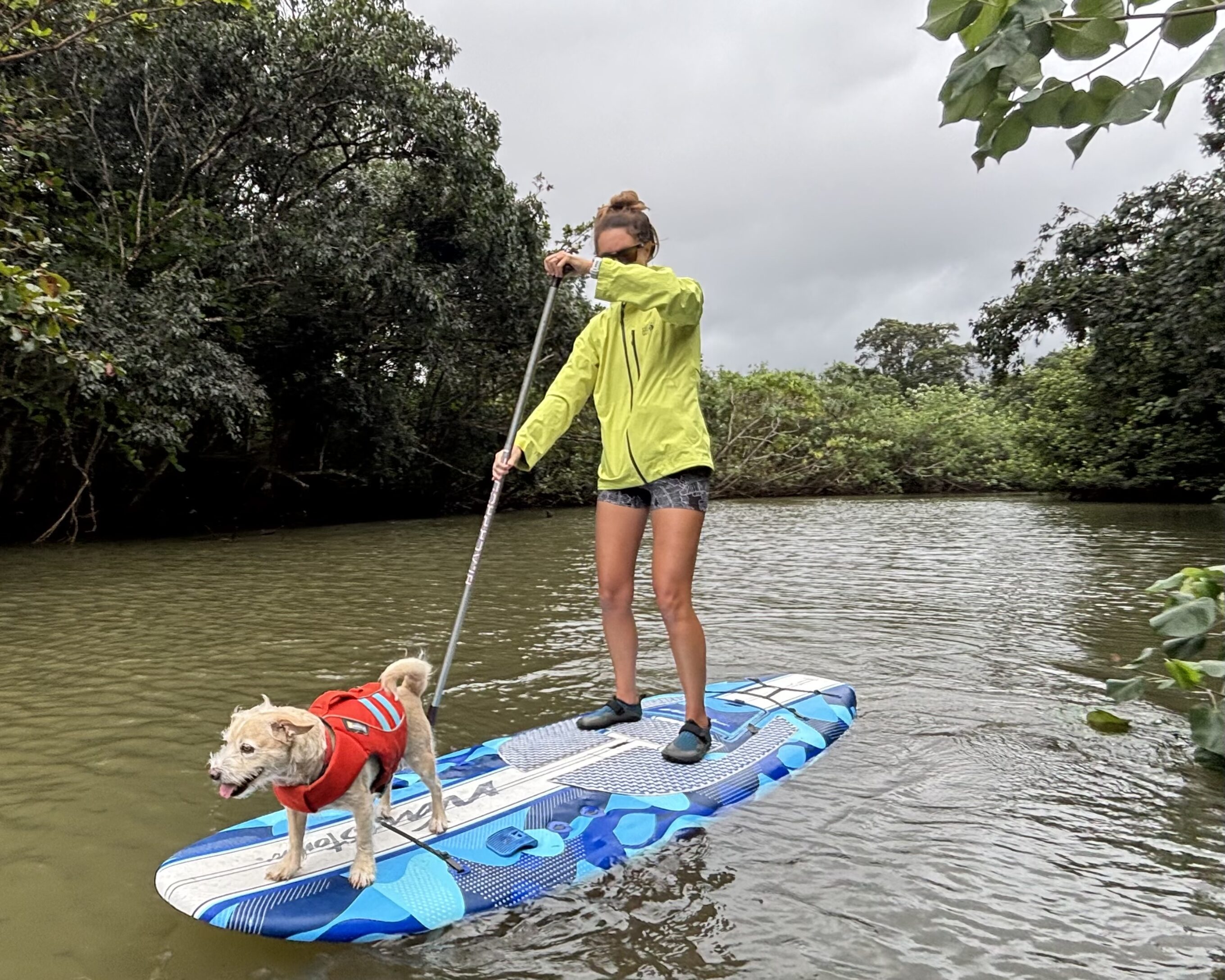 a woman and a dog paddle boarding