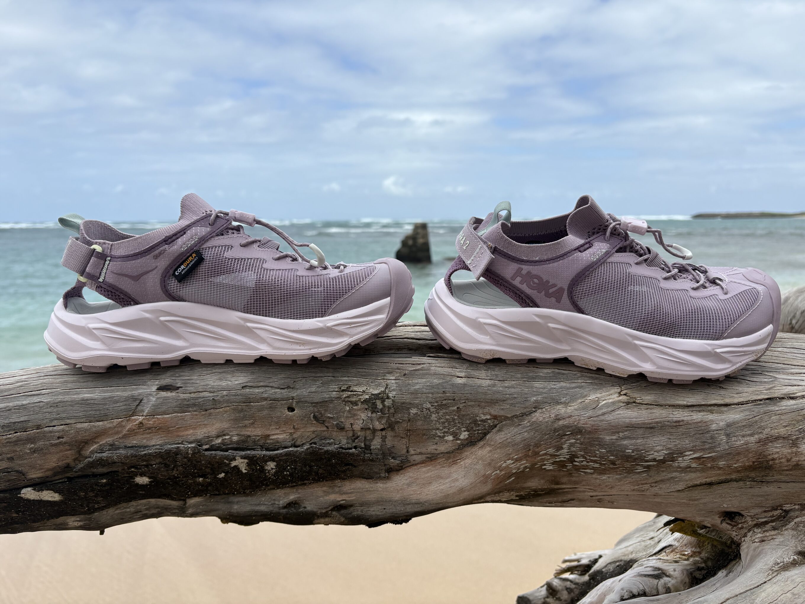shoes on a log