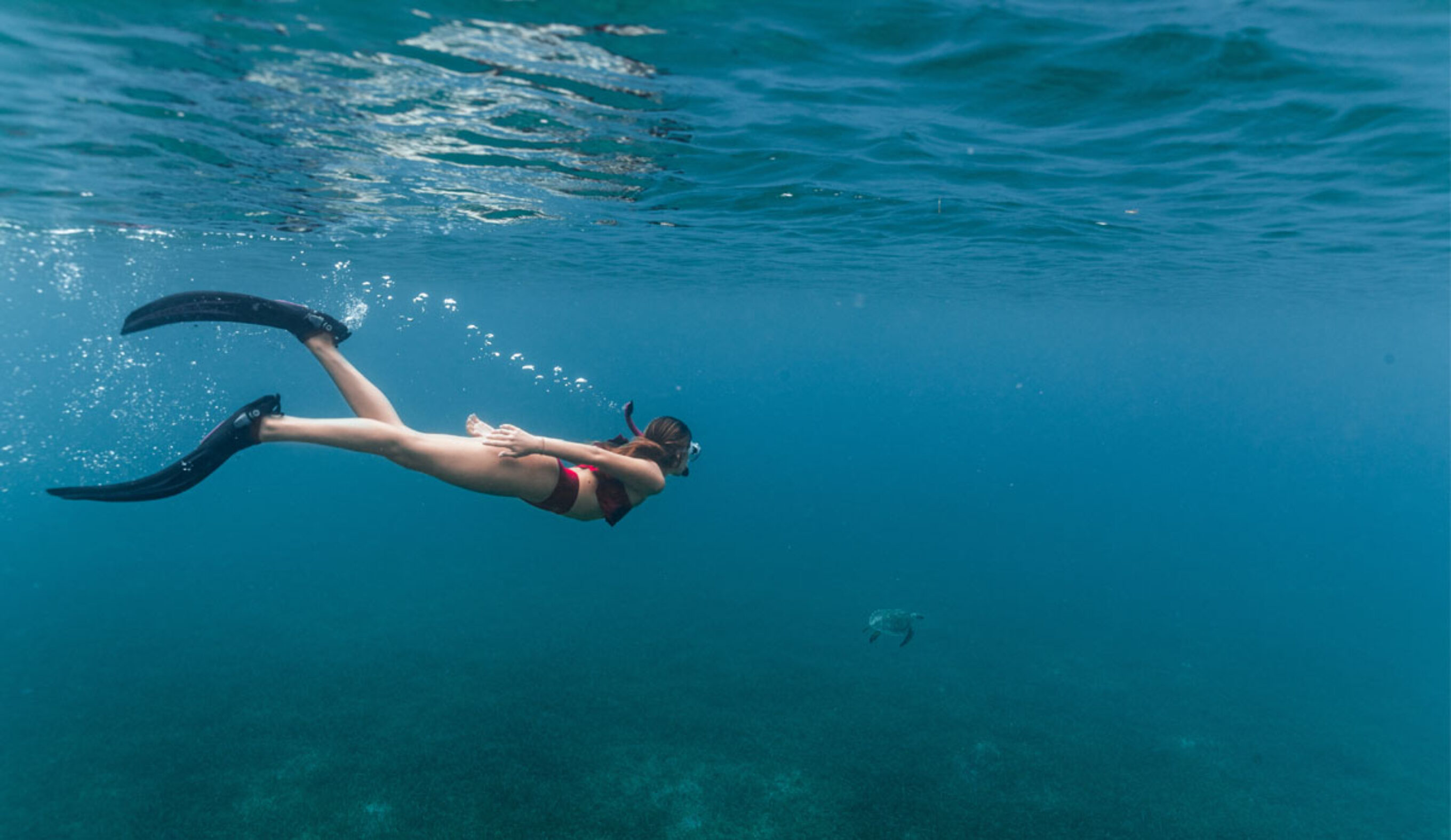 Tres Palmas Marine Reserve