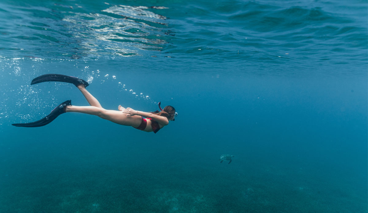 Tres Palmas Marine Reserve