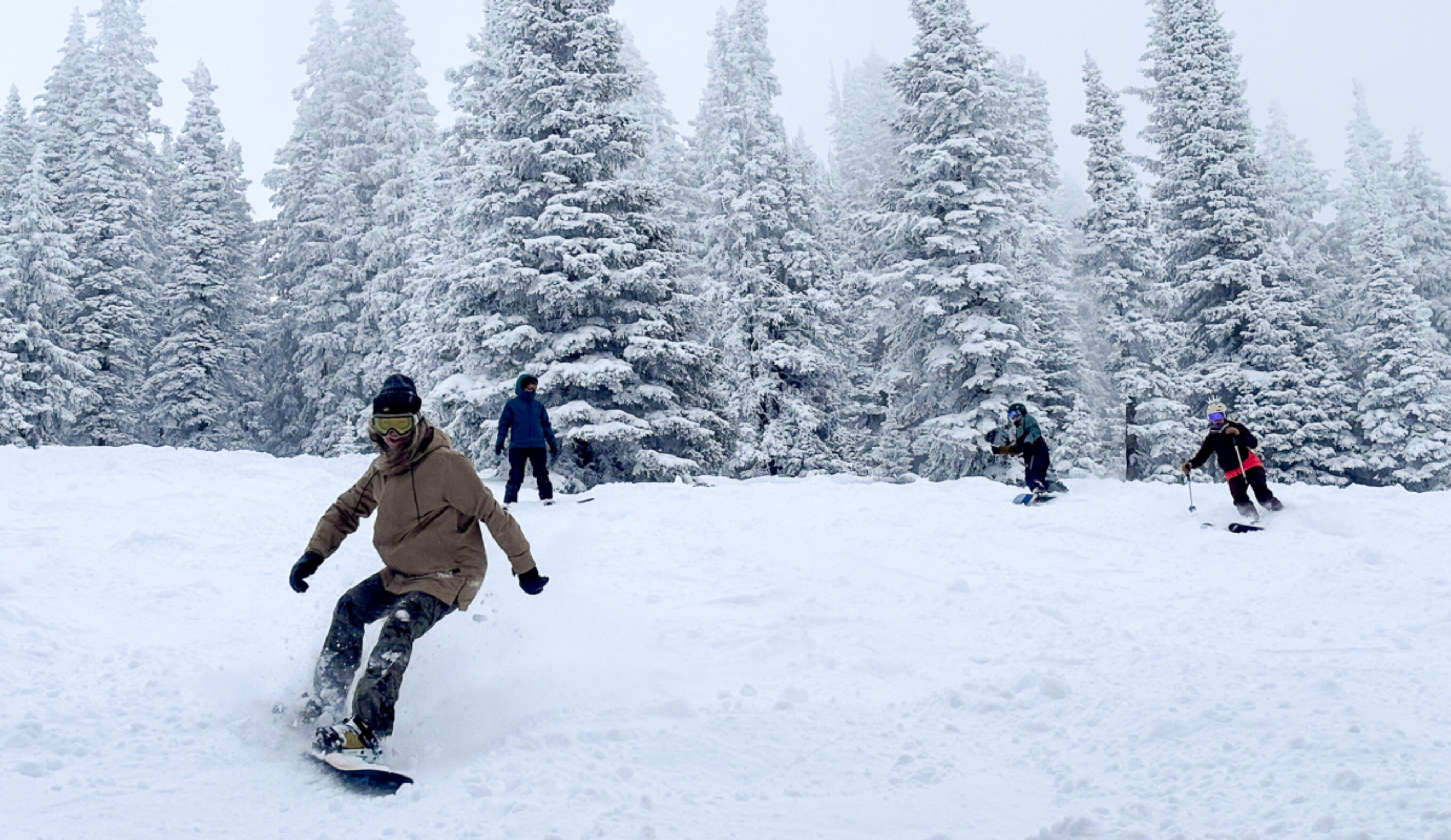 4 women skiing and snowboarding in powder