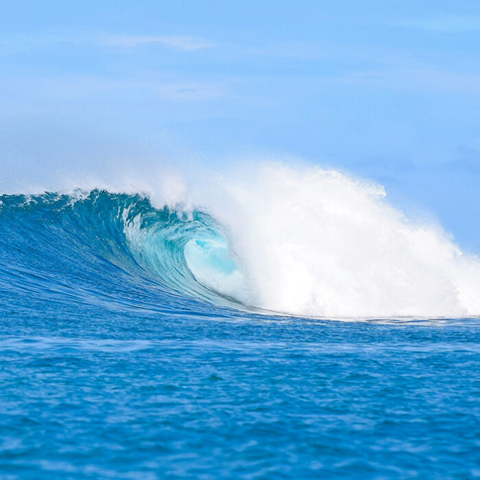 Why Waves Always Look Better Up the Beach (Instead of Where We're Surfing)