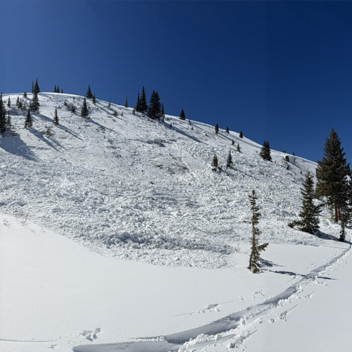 Photo: Colorado Avalanche Investigation Center