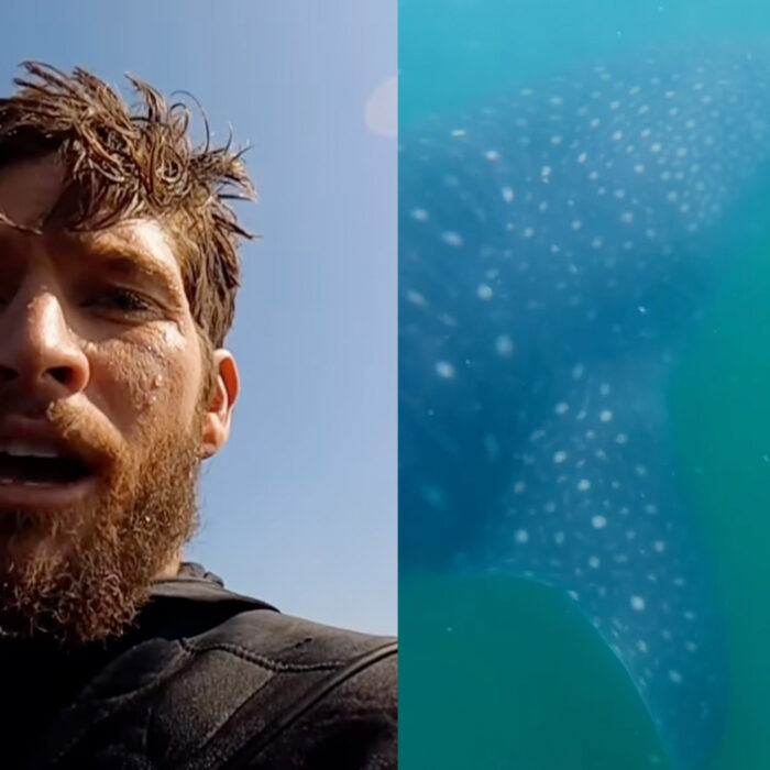Photo: Nathan Florence // Instagram